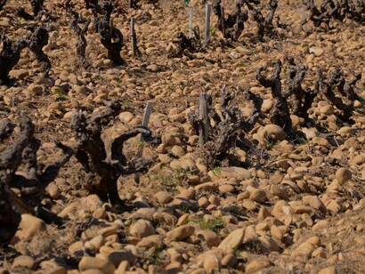 Rich and rare stony soils from Châteauneuf-du-Pape, France