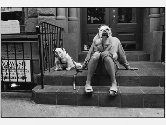 Elliott Erwitt, USA, New York City, 2000, © EElliott Erwitt/Magnum Photos