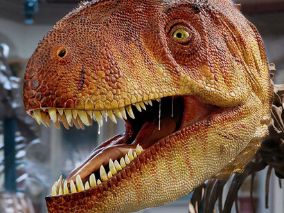 The World of Dinosaurs. Courtesy of Museum für Naturkunde