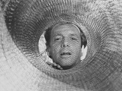 Hélio Oiticica é responsável por um movimento de desintelectualização e dessacralização da arte