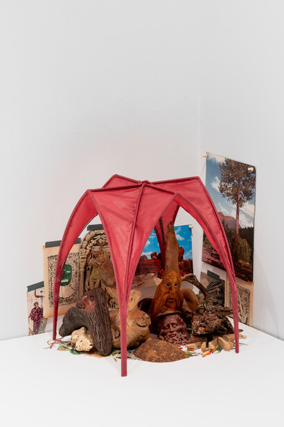 Johnathan Onyschuk, Old growth, exhibition view. Courtesy of Esker Foundation
