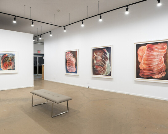 Wil Murray, Exhibition view. Courtesy of Vitrine