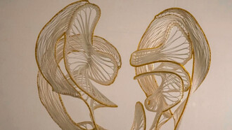 Shoko Fukuda pasó su infancia rodeada de materiales de costura de su madre y a ello hay que incluir su afición a dibujar espirales, cuyos movimientos forman parte del proceso de creación de sus obras