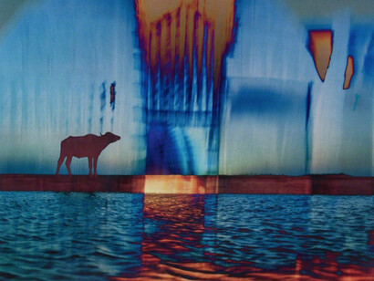 Meridel Rubenstein. Courtesy of Brian Gross Fine Art