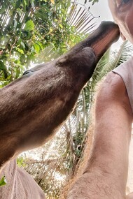 Zé Pedro conversando con Daniel y esperando el crepúsculo para comer. Fotografía, una autofoto de Daniel