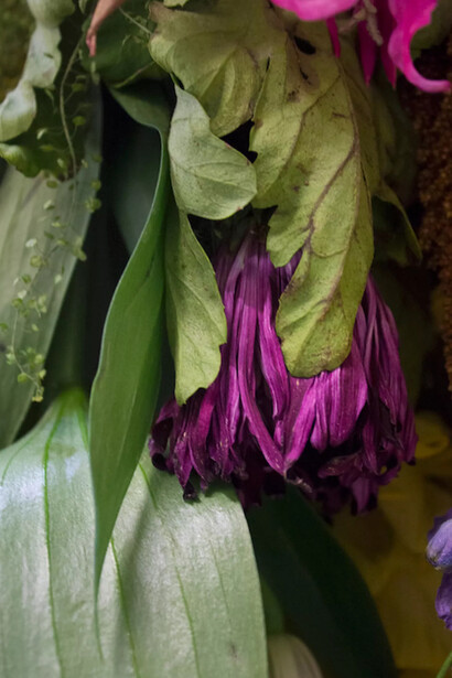 Anna Talens, Flores I, 2018. Courtesy of Kewenig Galerie 