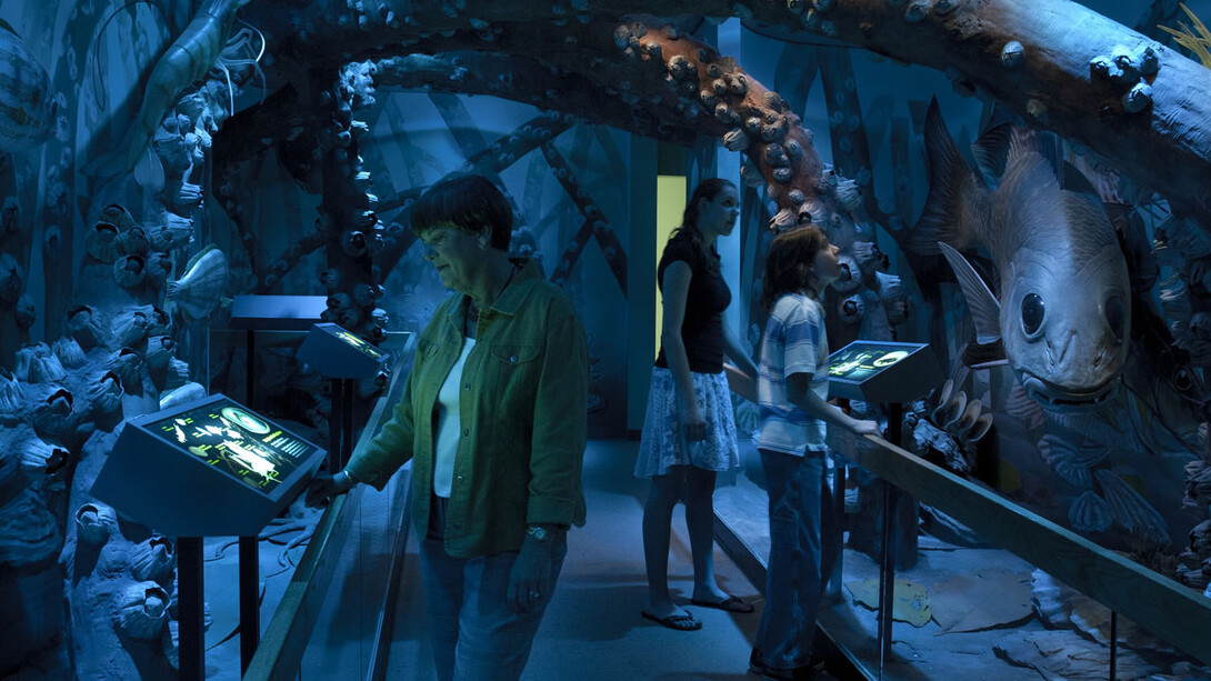 South Florida People & Environments. Courtesy of Florida Museum of Natural History