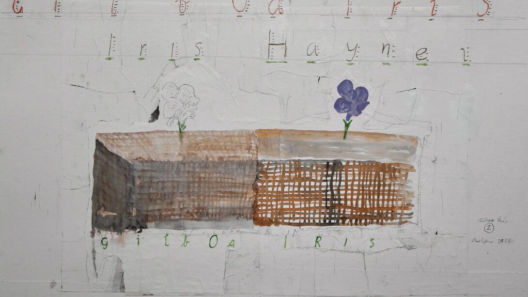 Patrick Graham, Gilboa iris (detail), 2025. Courtesy of Hillsboro Fine Art