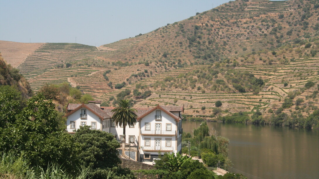 Alto Douro, quinta. Fotografia Sérgio Lira