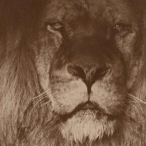 Before and After. Courtesy of Museum für Fotografie