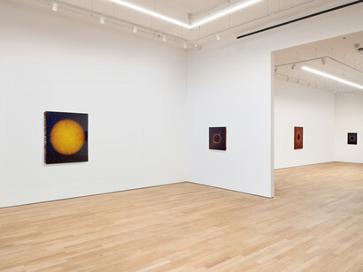 Karen Arm, Night birds, exhibition view. Courtesy of P·P·O·W Gallery