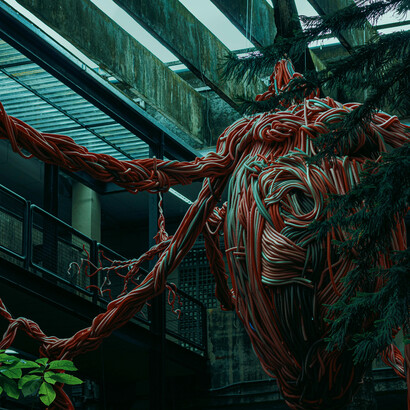 Estudios han demostrado que los niveles de serotonina aumentan durante las primeras etapas del enamoramiento