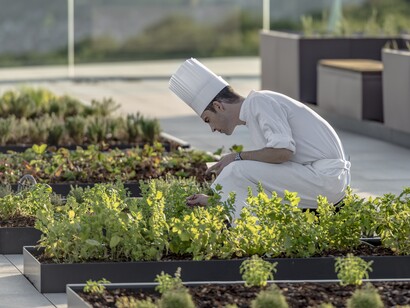 Potager
