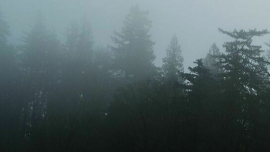 Copertina di The High Country