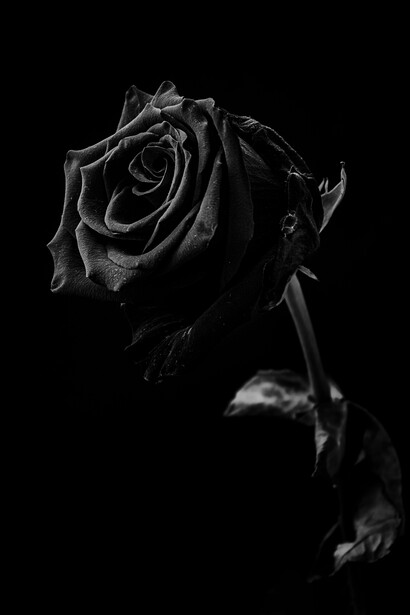 Reverenciar Lilith hoje é um gesto de restituição simbólica. Ela é o espelho que devolve à mulher contemporânea a imagem que lhe foi roubada: a de quem não pede licença para existir

