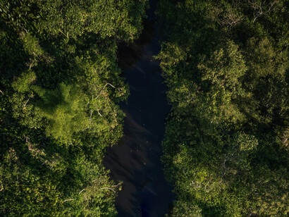 Vista aérea de la selva en Rioja, San Martín, Perú, considerada puerta de entrada a la Amazonía