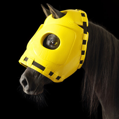 Gallery 8, Tim Flach, Masks Head Protector