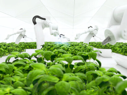 AI-driven smart technology transforms hydroponics into the future of farming