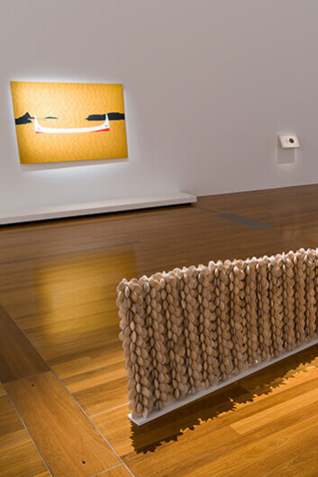 The 9th Asia Pacific Triennial of Contemporary Art. Courtesy of Queensland Art Gallery