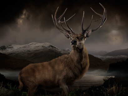 Joseph McGlennon, Skyestag 5