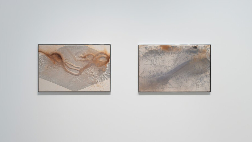 Daniel Lefcourt. Courtesy of Mitchell-Innes & Nash