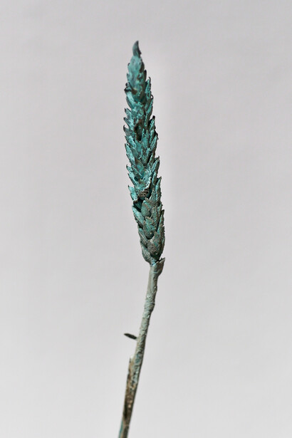 Seeds. Reclaiming roots, sowing futures. Courtesy of Kunst Haus Wien 