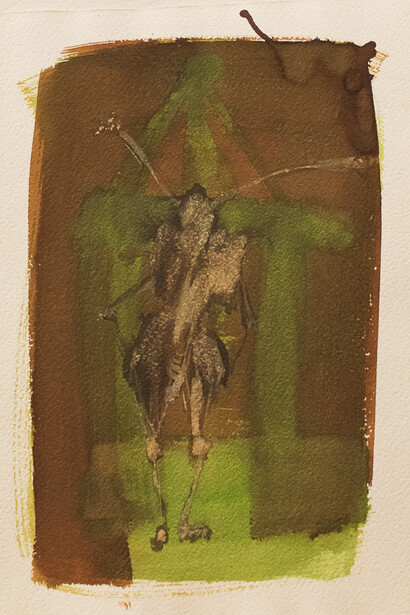 Il cavaliere errante. Foto di Valeria Nonni