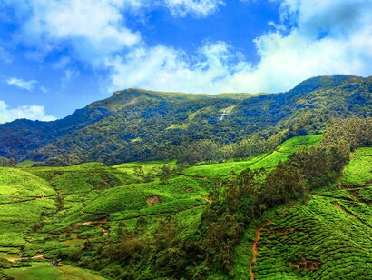 Sunlit tea plantations framed by mountain peaks in Munnar, Kerala, symbolising the hill station that is known as one of Kerala’s most iconic destinations