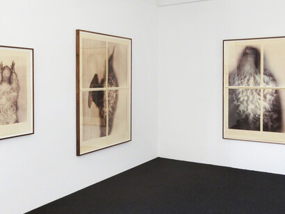 Ann Hamilton, Exhibition view. Courtesy of Gemini G.E.L.