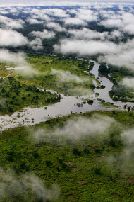 Il bacino del Congo