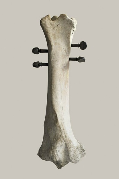 Isidro Ferrer. Hueso