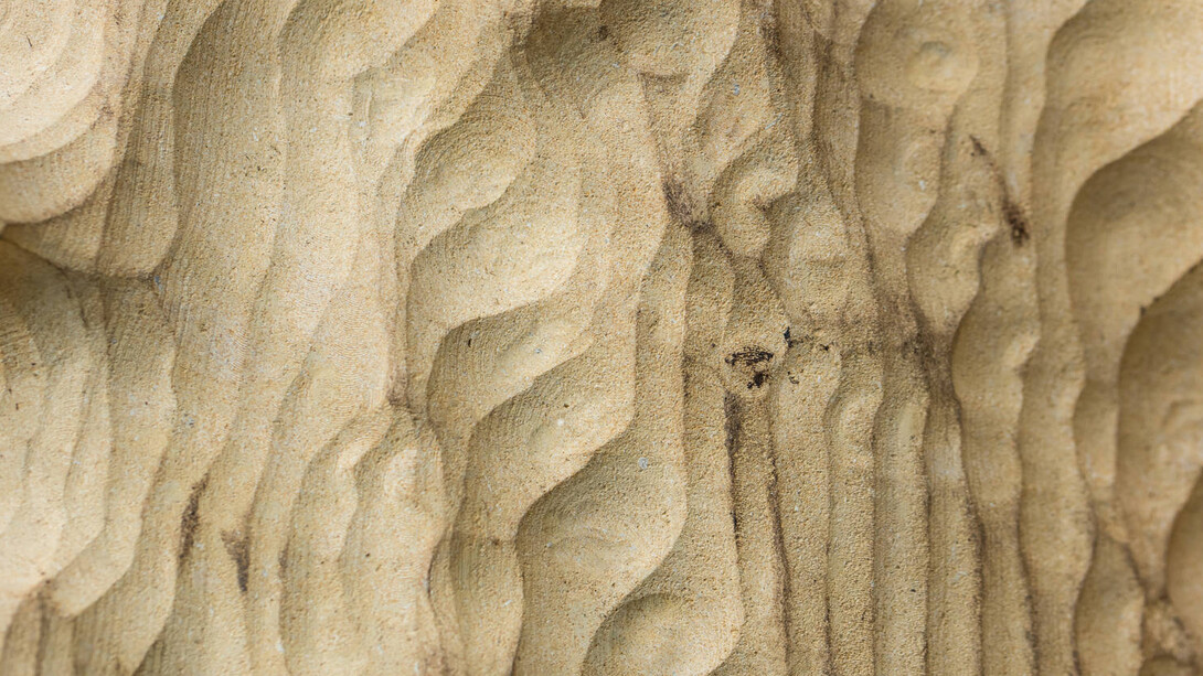 Anya Gallaccio. Courtesy of The Contemporary Austin