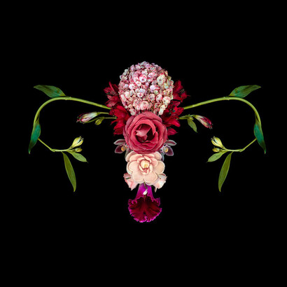 Catharina Suleiman, obra de la serie Útero