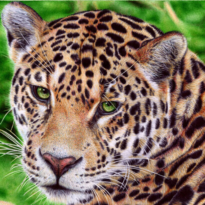 Samuel Silva, *Jaguar*