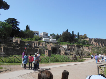 Gli Horti Farnesiani visti dalla Via Sacra