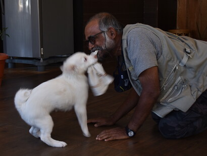 The author playing hanky-panky with Snowy the puppy - we know dogs play, so why not the rest of nature? © Shrishtee Bajpai