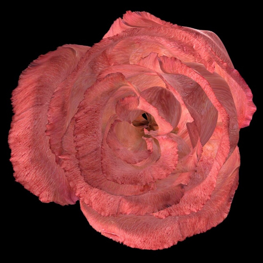 Your Mind, This Moment. Courtesy of San Jose Museum of Art