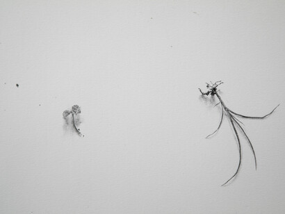 Il tuo nome è, disegno a matita, 2019, foto Kazuyo Sakamoto