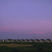 Howard Greenberg Gallery