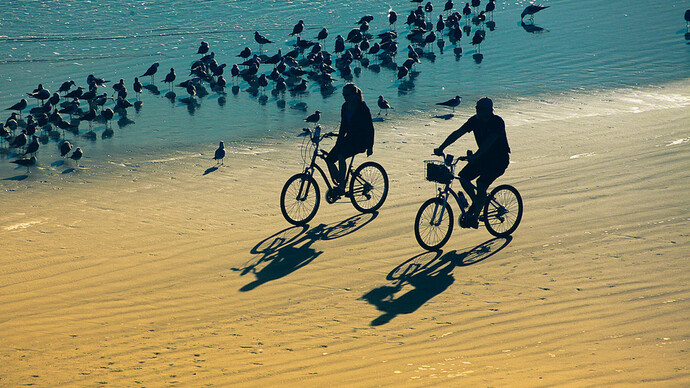Couple at Daytona Riding Bicycles on the Beach © Kim Seng