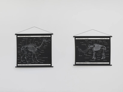 Tanya Bonakdar Gallery, The sky we stand on, exhibition view. Courtesy of Tanya Bonakdar Gallery