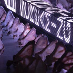 Holzer. Courtesy of Guggenheim Museum Bilbao