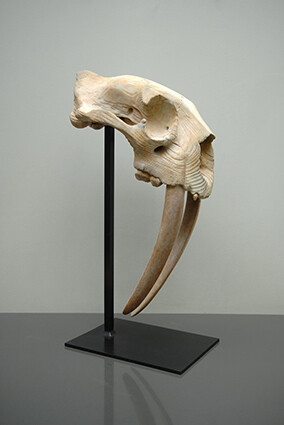 Quentin Garel, Tigre à dents de sabre, 2013, Bronze, 29½" x 10½" x 23" 