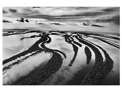 The backwater of the Rio Negro, Anavilhanas National Park, state of Amazonas, Brazil, 2009, gelatin silver print, 24x35 inches, © Sebastião Salgado. Courtesy of the artist and Sundaram Tagore, NYC

