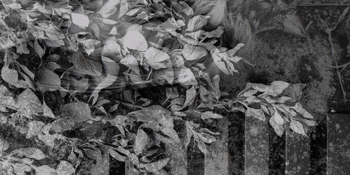 Augusta Wood. Courtesy of Denk gallery