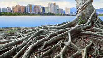 La resiliencia es una actitud necesaria para reencontrarnos con la normalidad