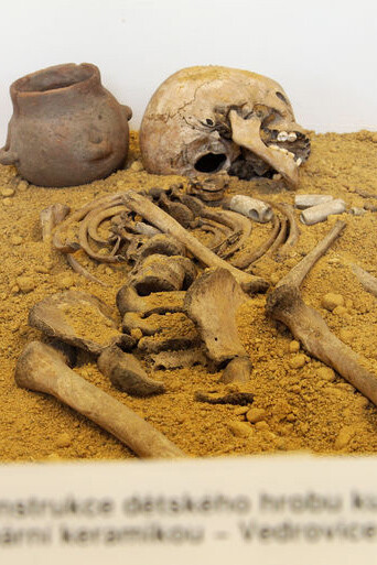 Prehistory of Moravia, exhibition view. Courtesy of the Moravian Museum