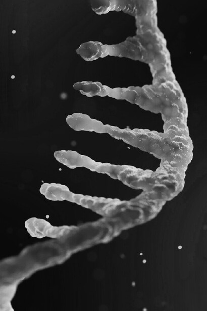 mRNA technology has much potential not just as vaccines, but as cures for other diseases