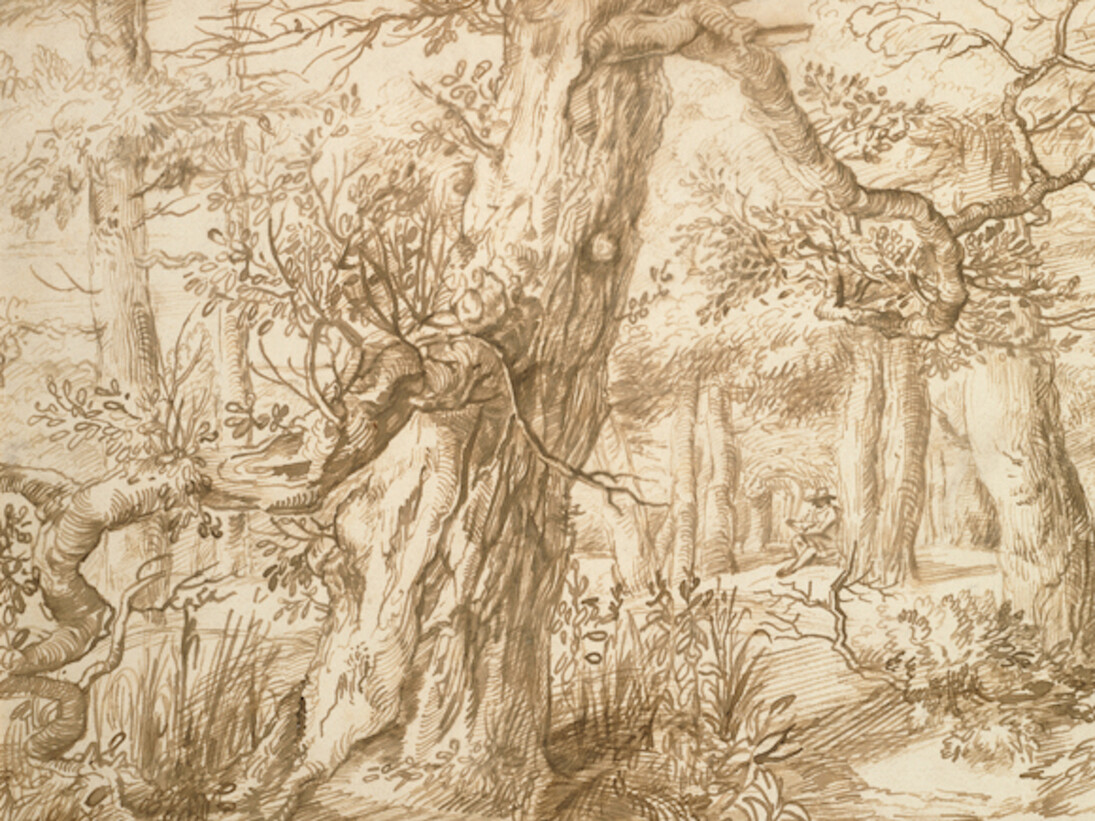 Jan Lievens, Forest Interior with a Draftsman, 1660s, pen and ink with wash, Maida and George Abrams Collection, Boston. Courtesy of National Gallery of Art