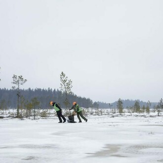 As trees go by, piece in exhibition. Courtesy of Serlachius Museums